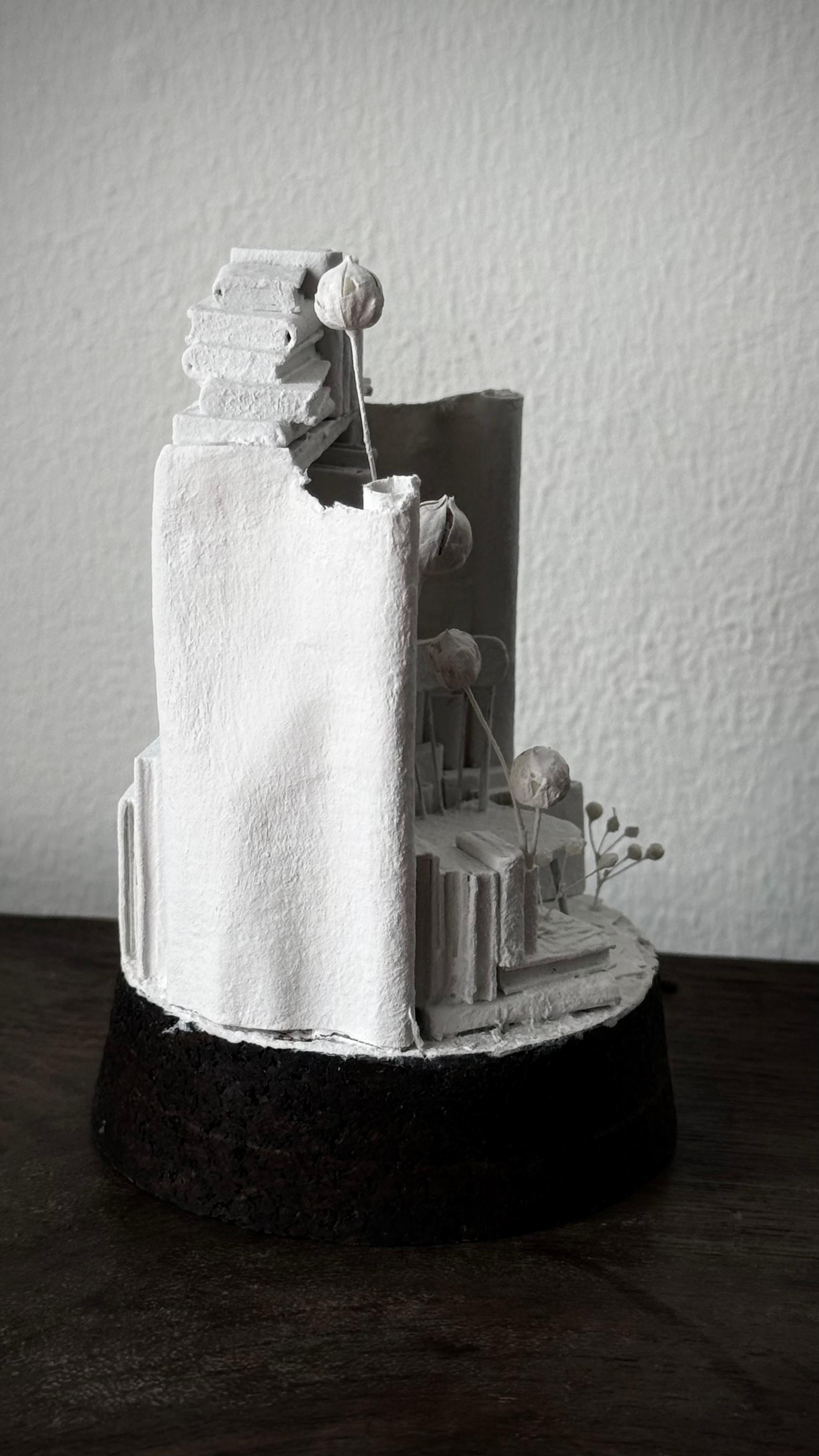 記憶の棲家　やすらぎ | 15枚目