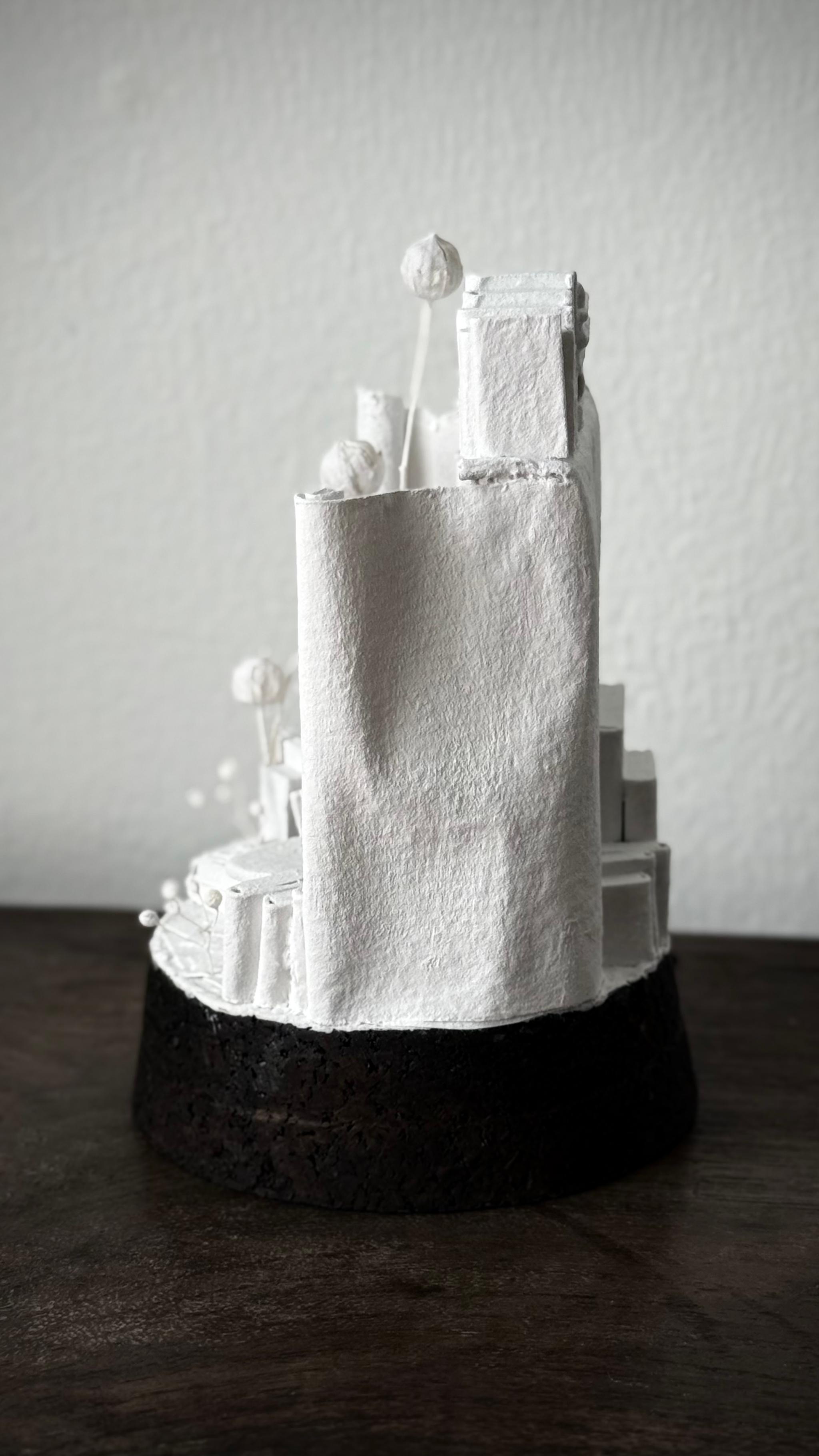 記憶の棲家　やすらぎ | 16枚目