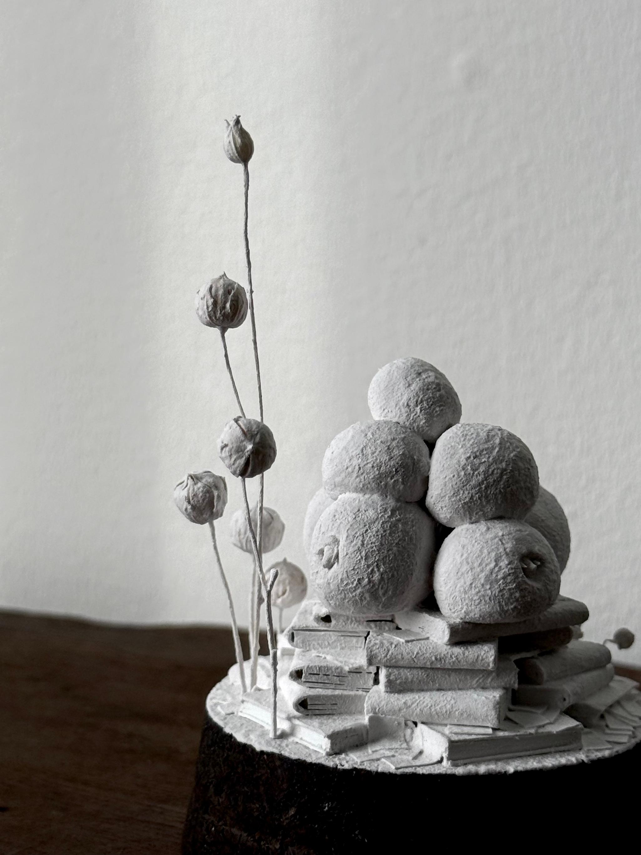 羊の街 | 13枚目