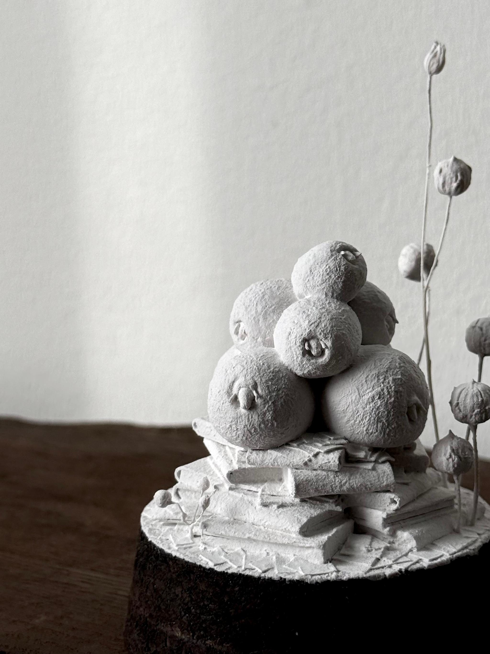 羊の街 | 14枚目