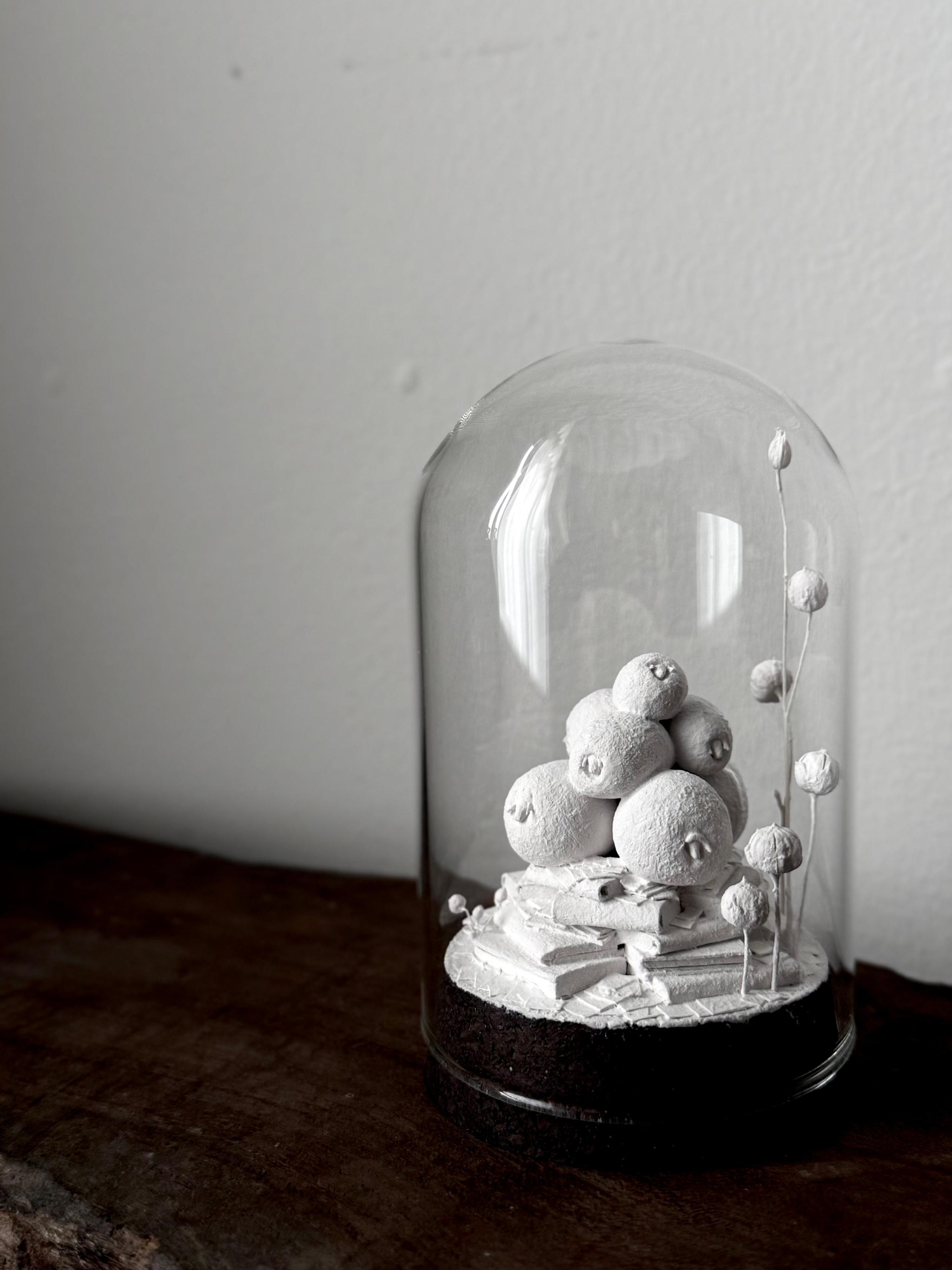 羊の街 | 16枚目