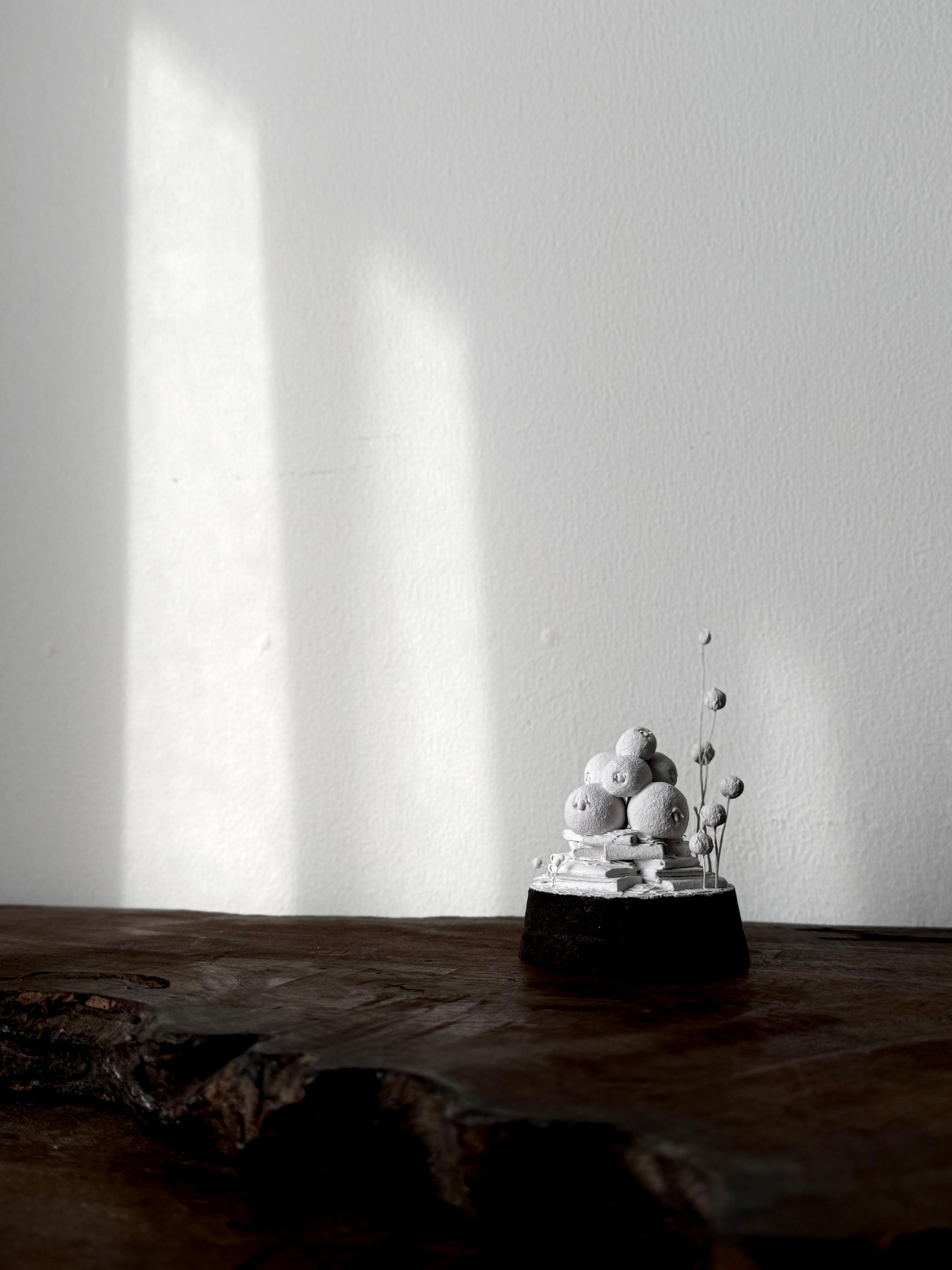 羊の街 | 18枚目