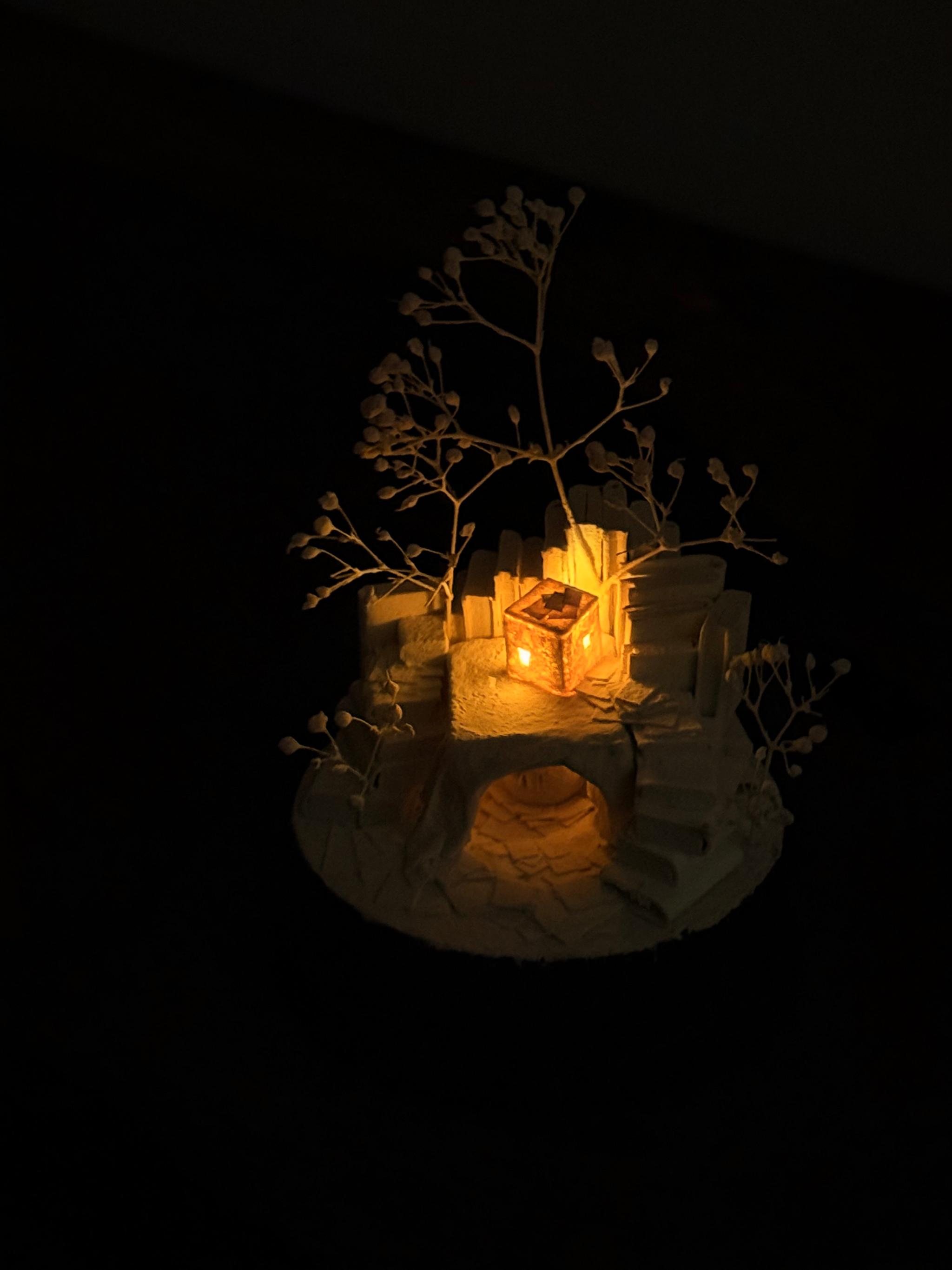 羊の棲家 | 4枚目