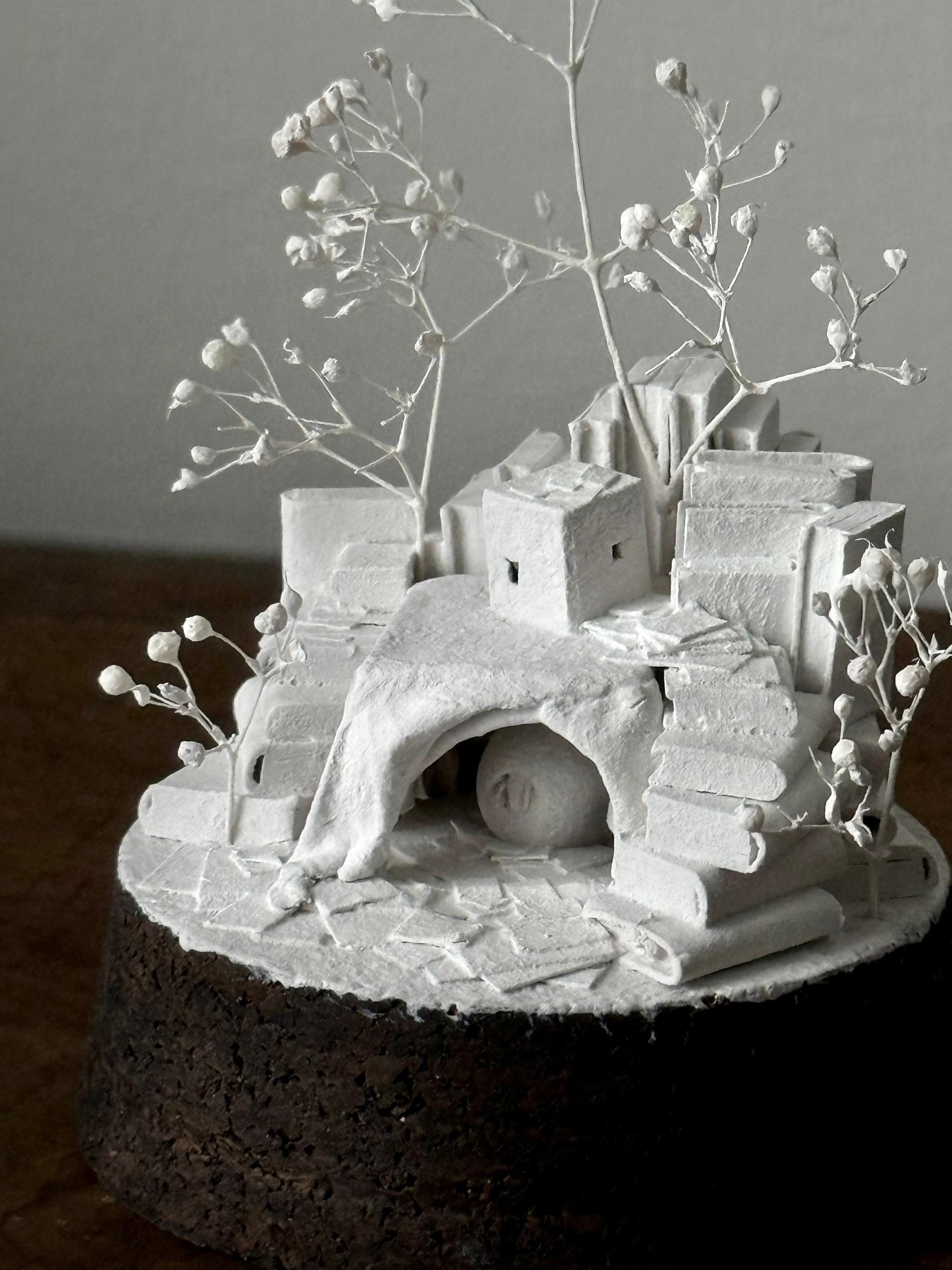 羊の棲家 | 13枚目