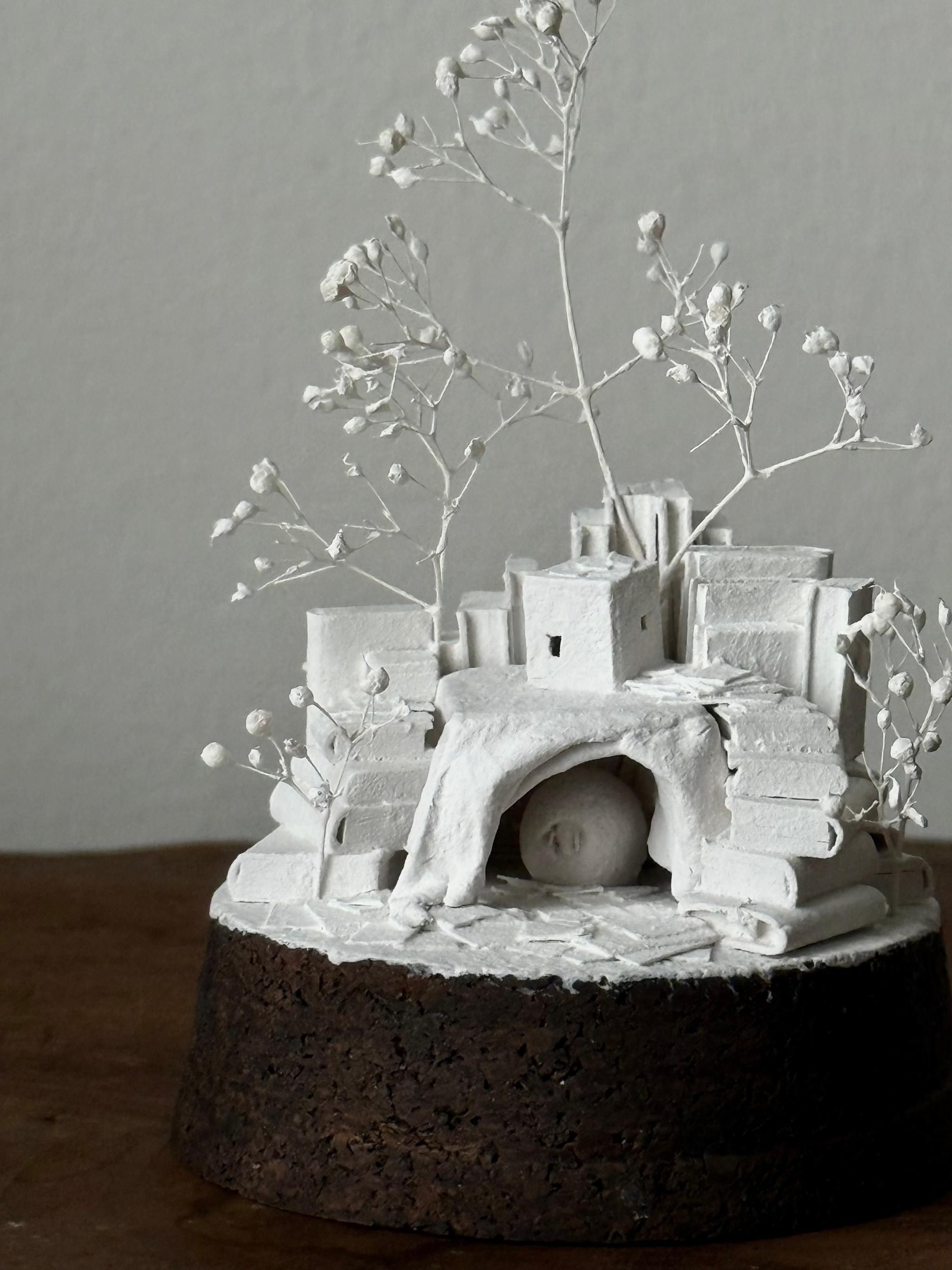 羊の棲家 | 14枚目