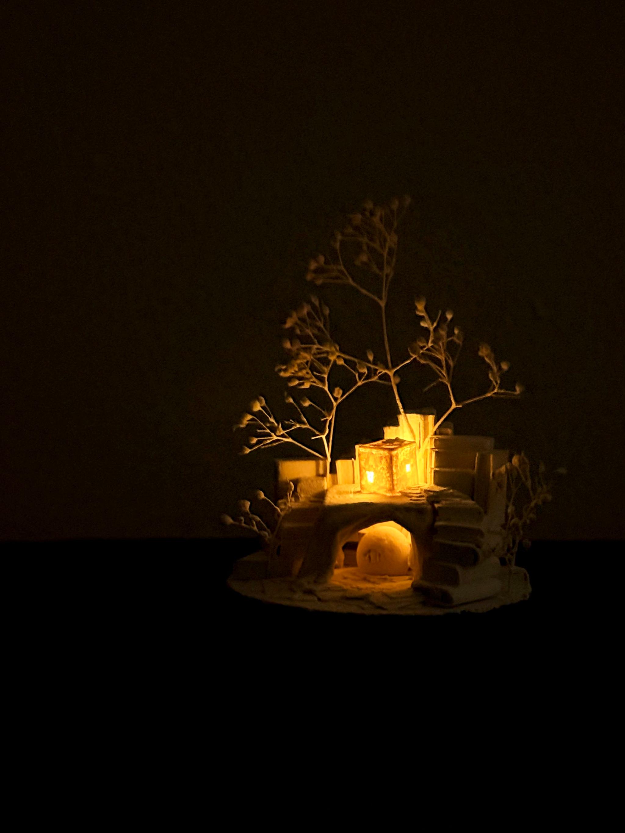 羊の棲家 | 5枚目