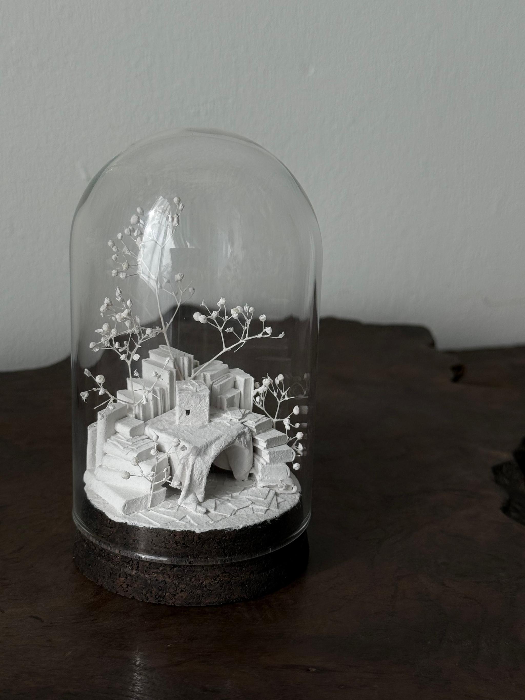 羊の棲家 | 17枚目