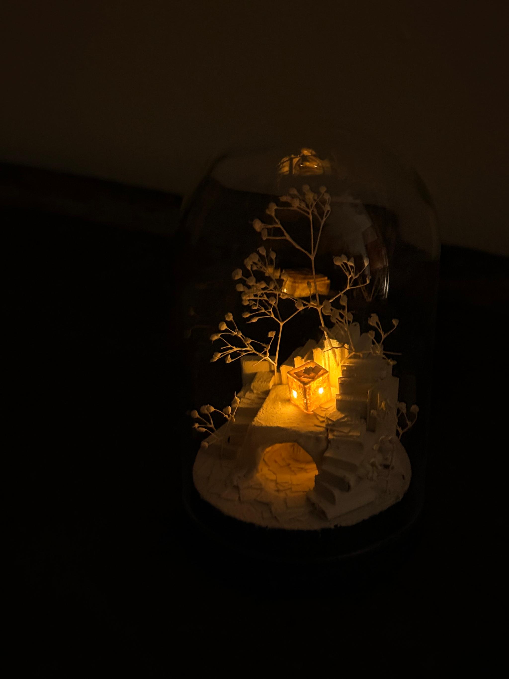 羊の棲家 | 8枚目