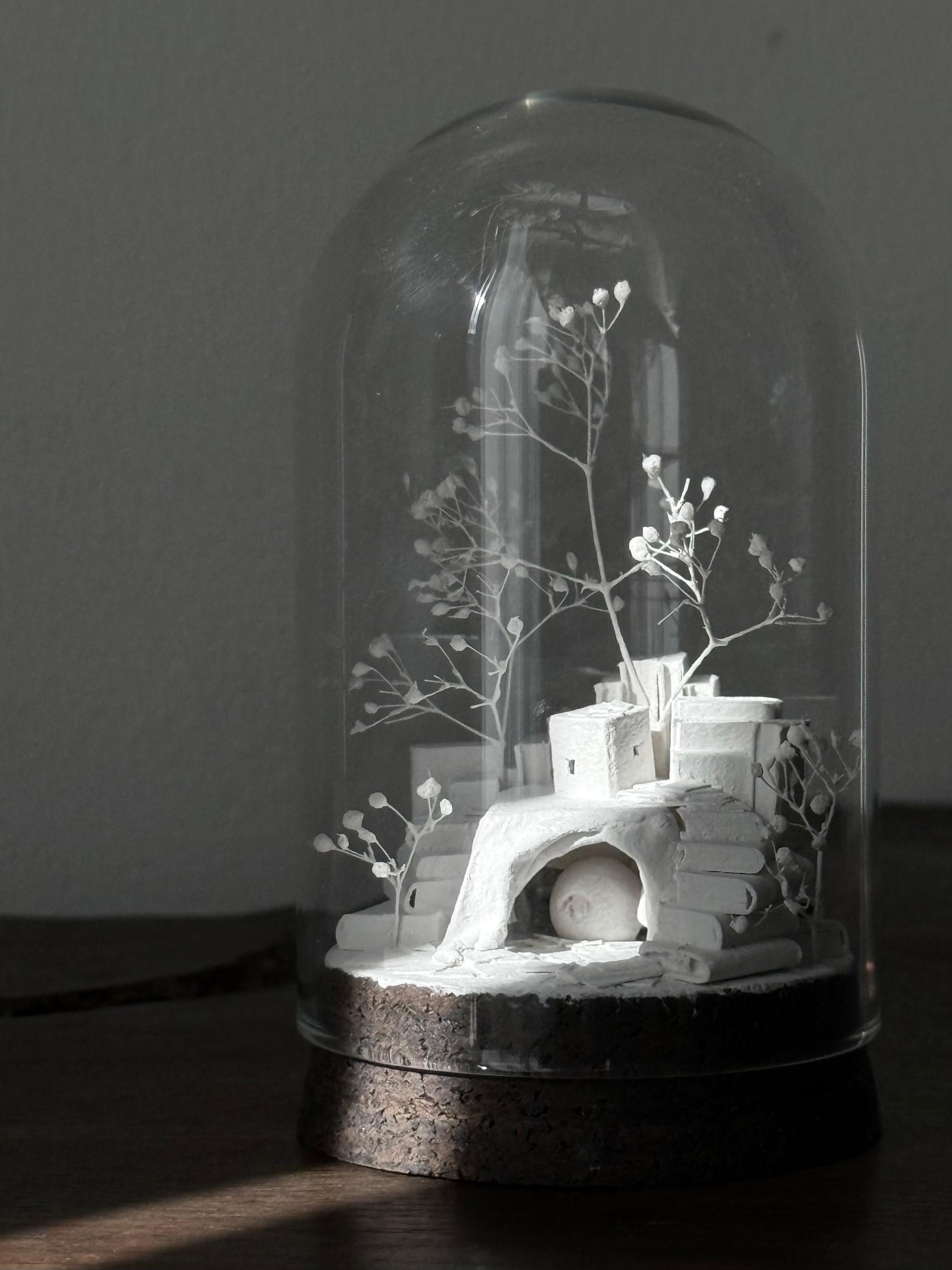 羊の棲家 | 2枚目