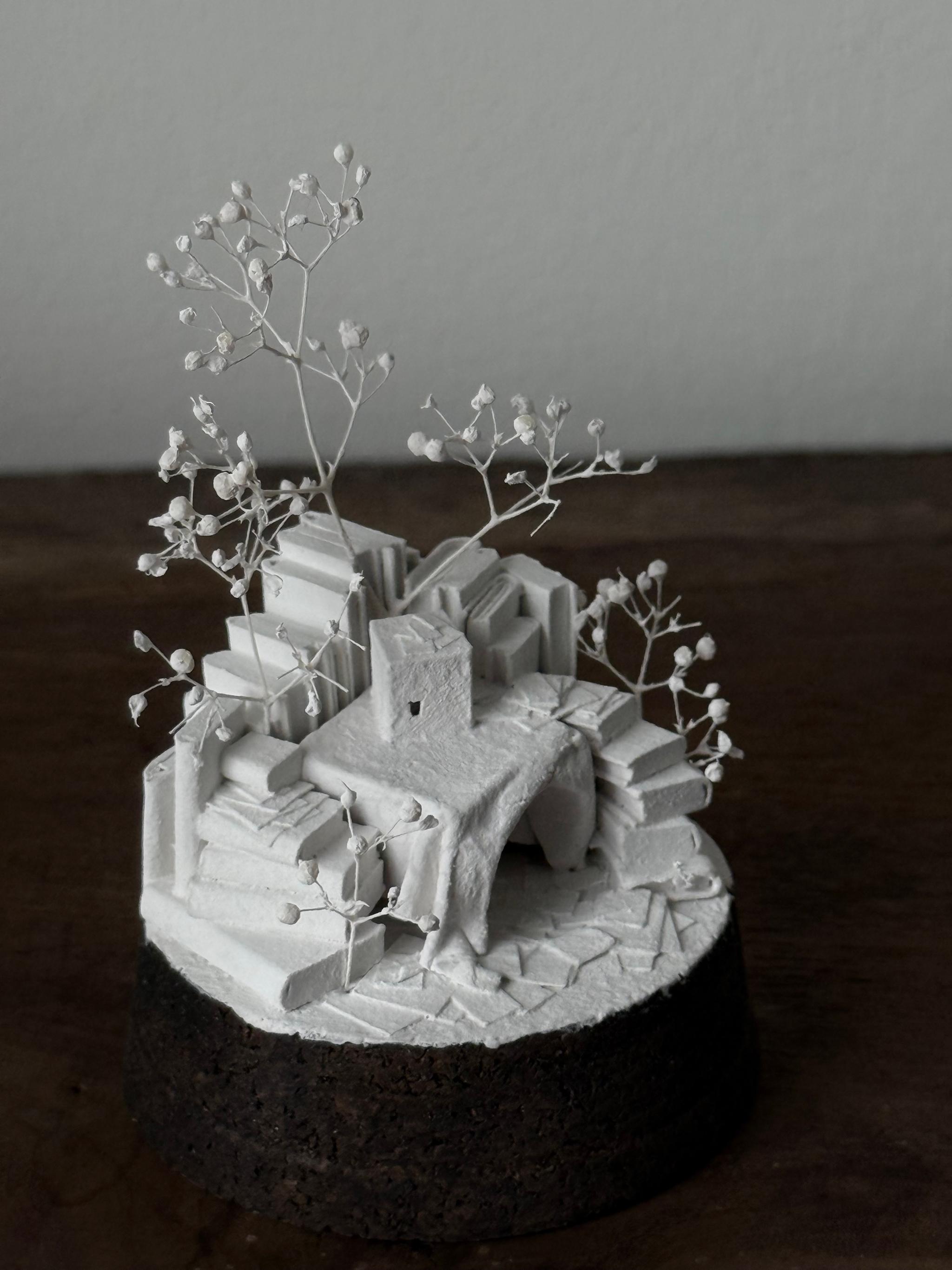 羊の棲家 | 16枚目