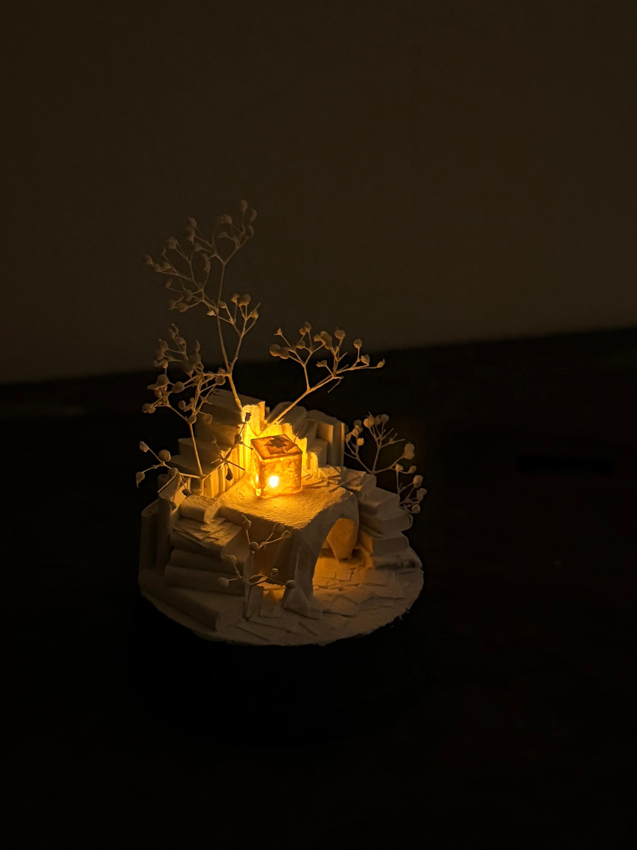 羊の棲家 | 7枚目