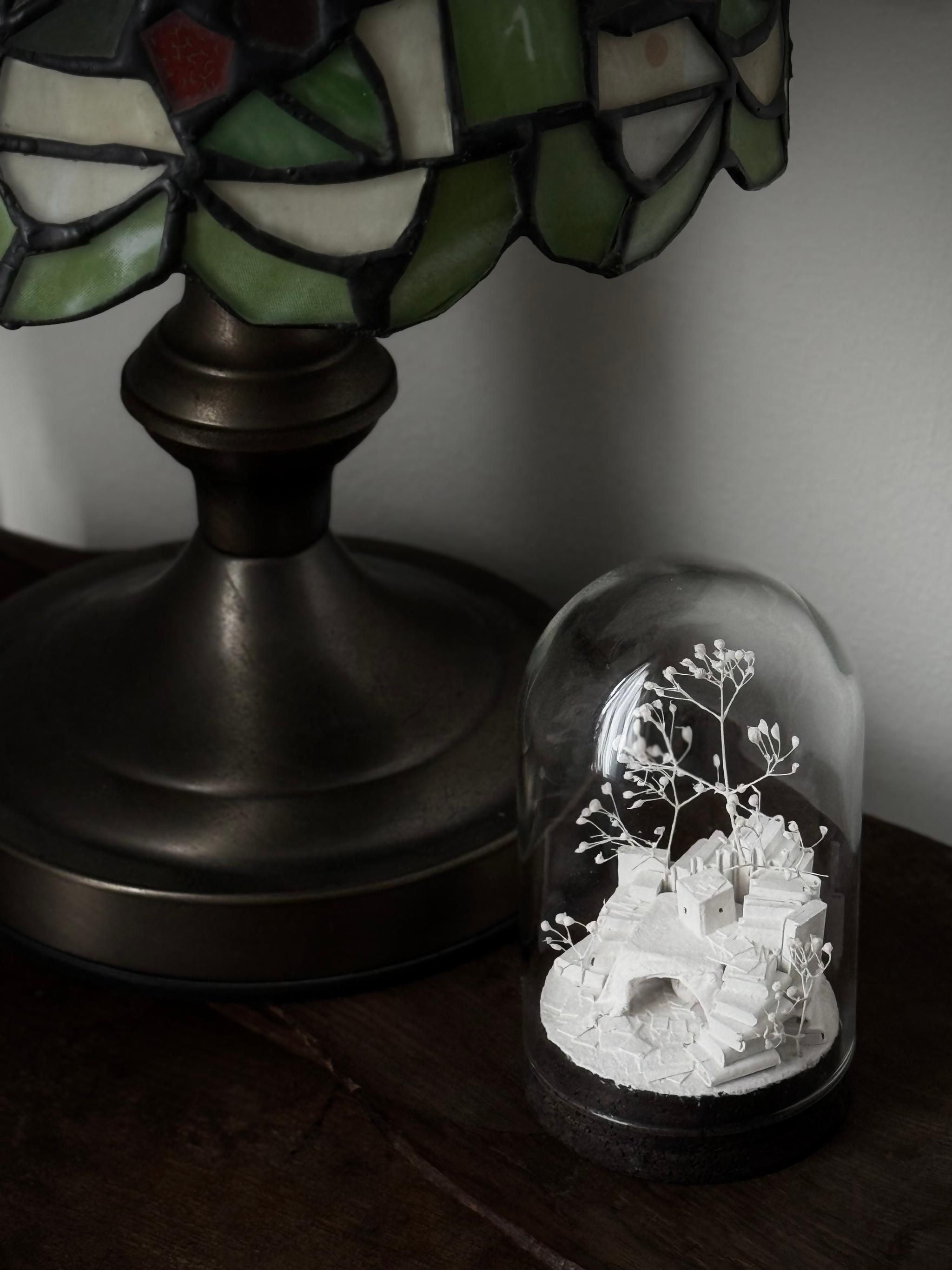 羊の棲家 | 19枚目