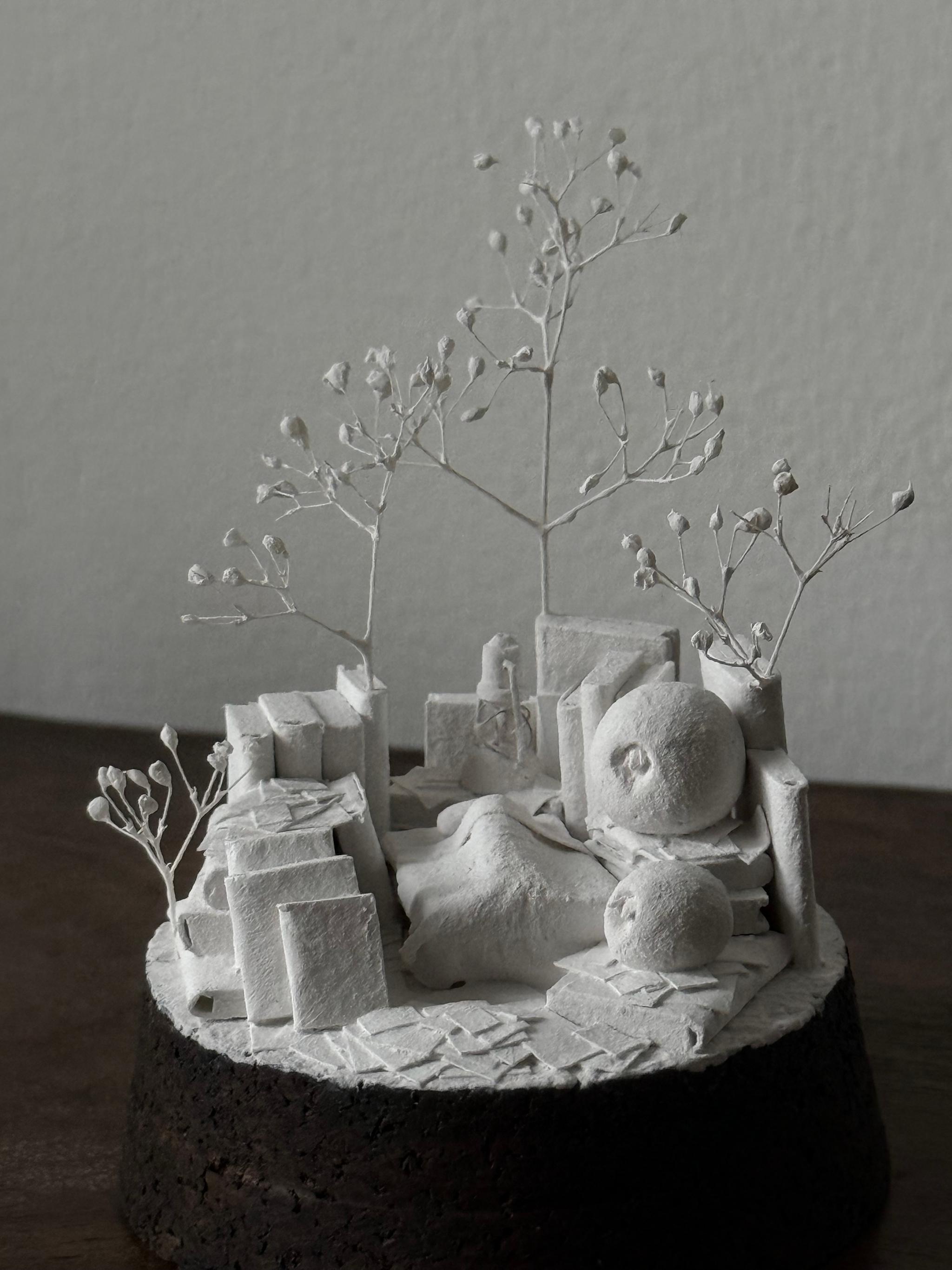 羊の眠り | 16枚目