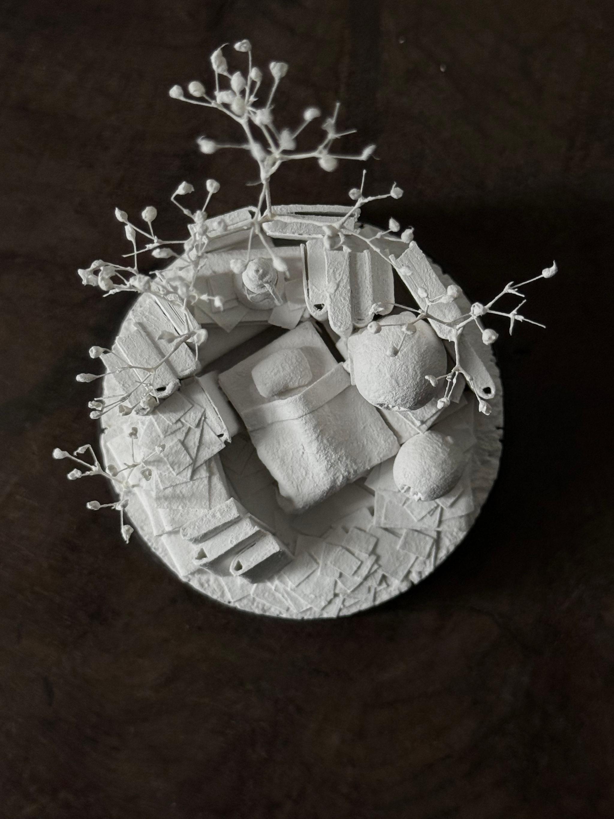 羊の眠り | 17枚目