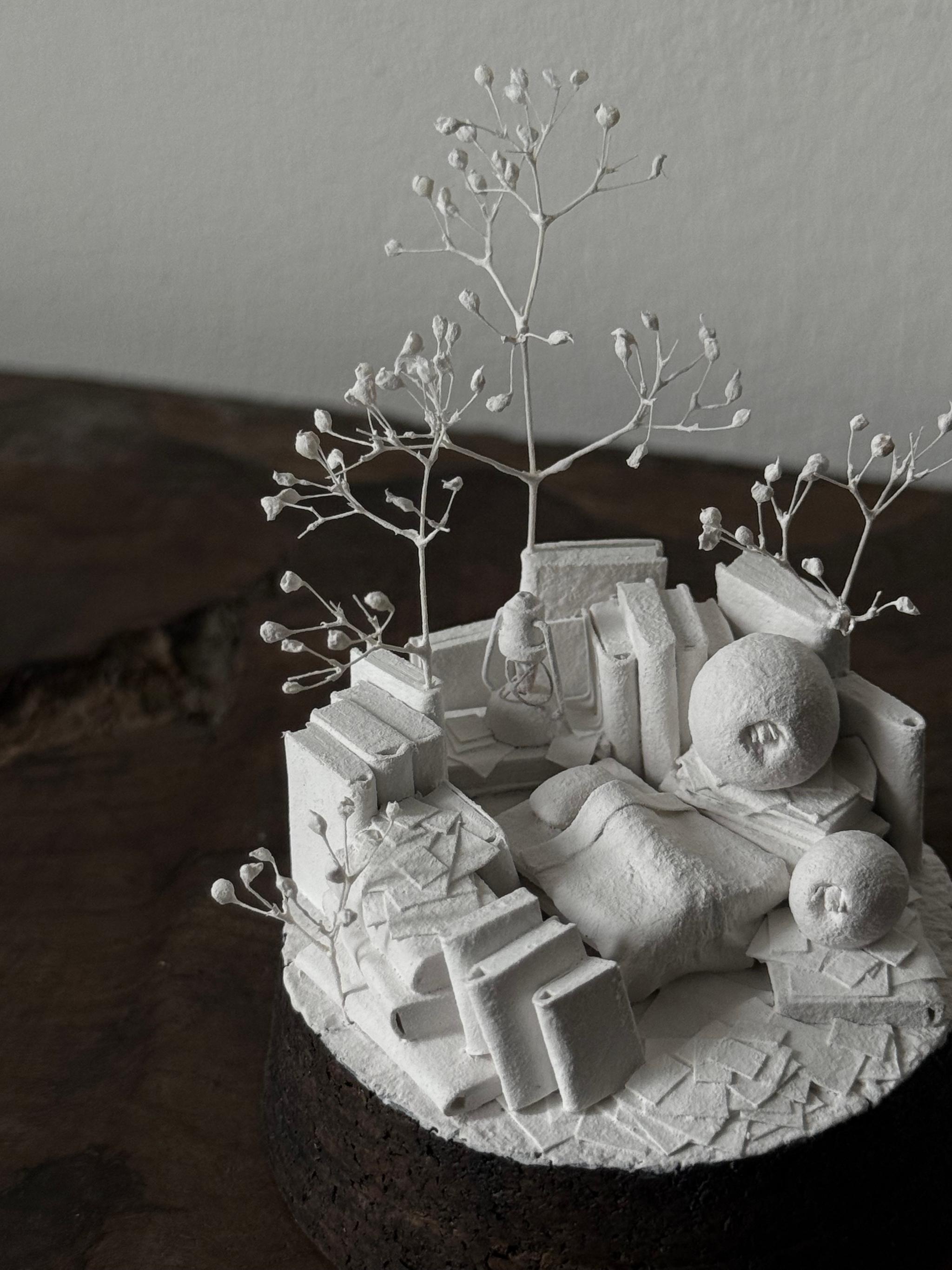 羊の眠り | 3枚目