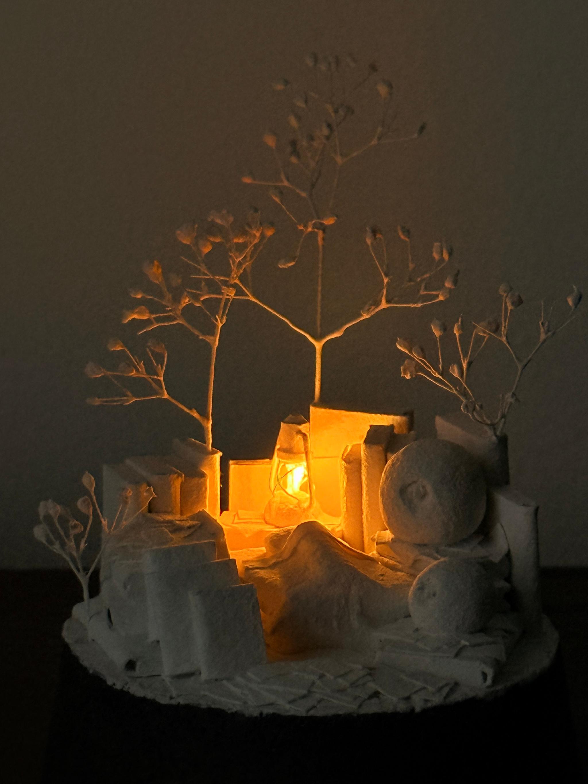 羊の眠り | 5枚目