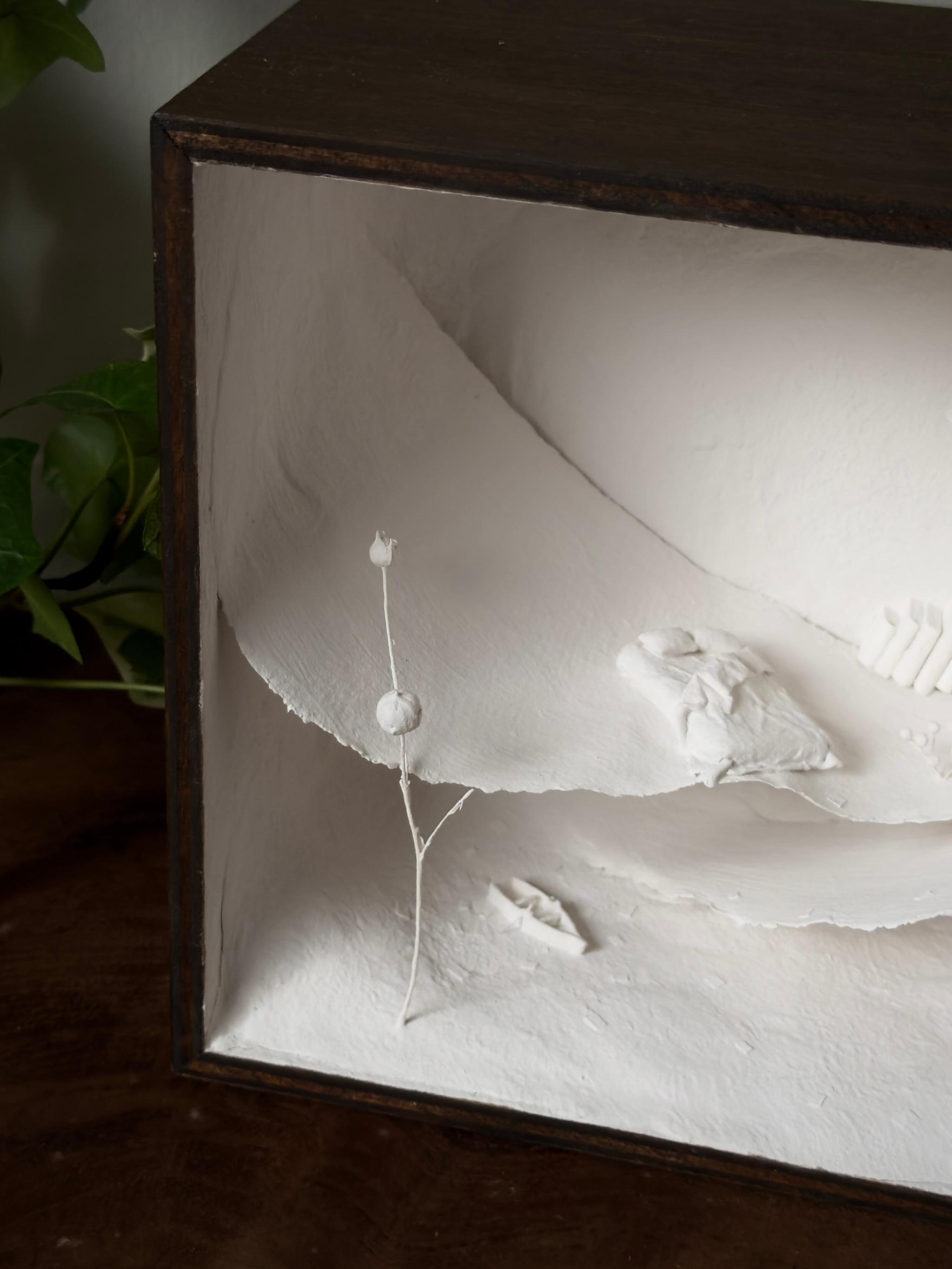 ゆらゆら | 15枚目