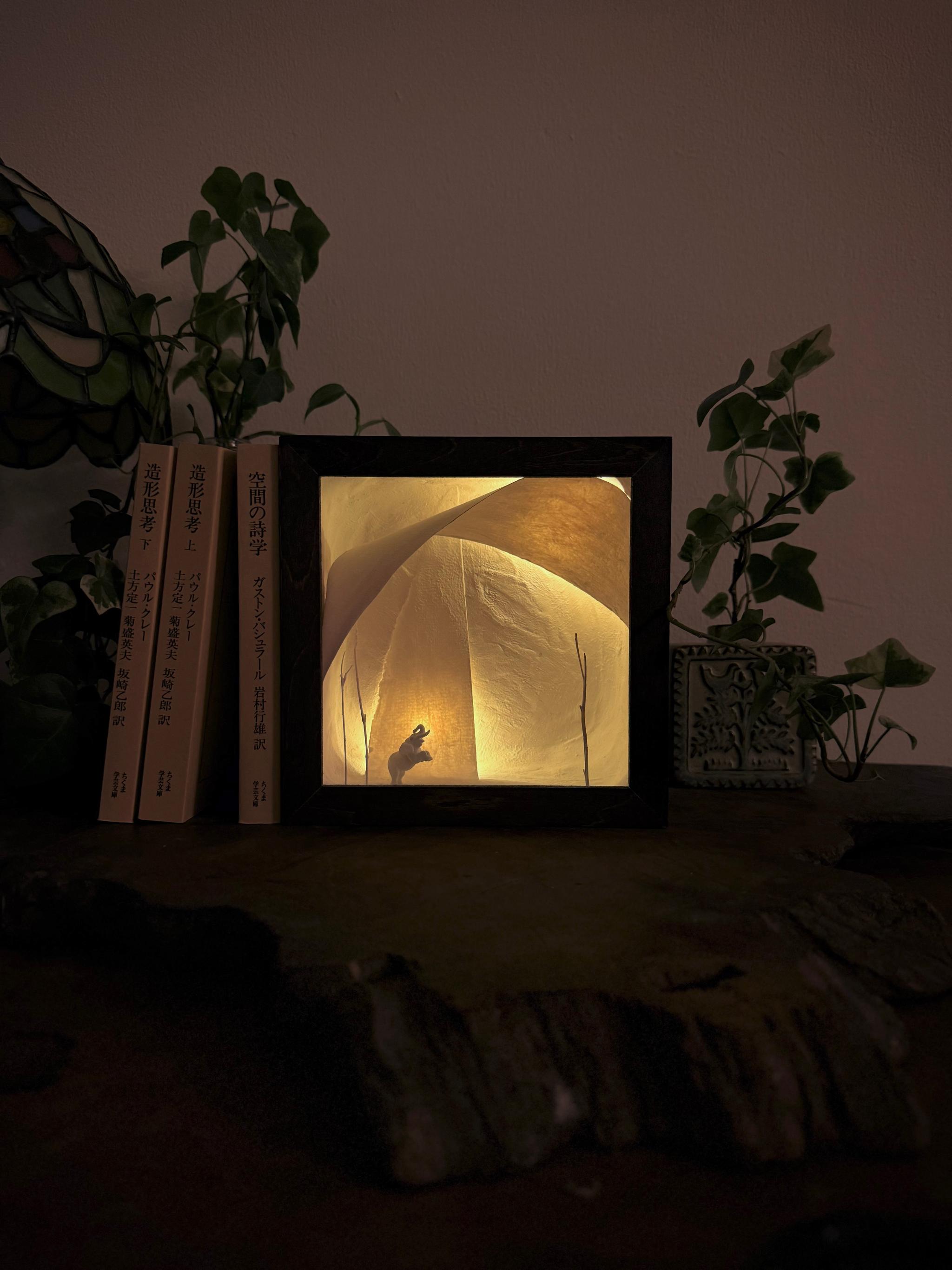 象と泳ぐ | 2枚目