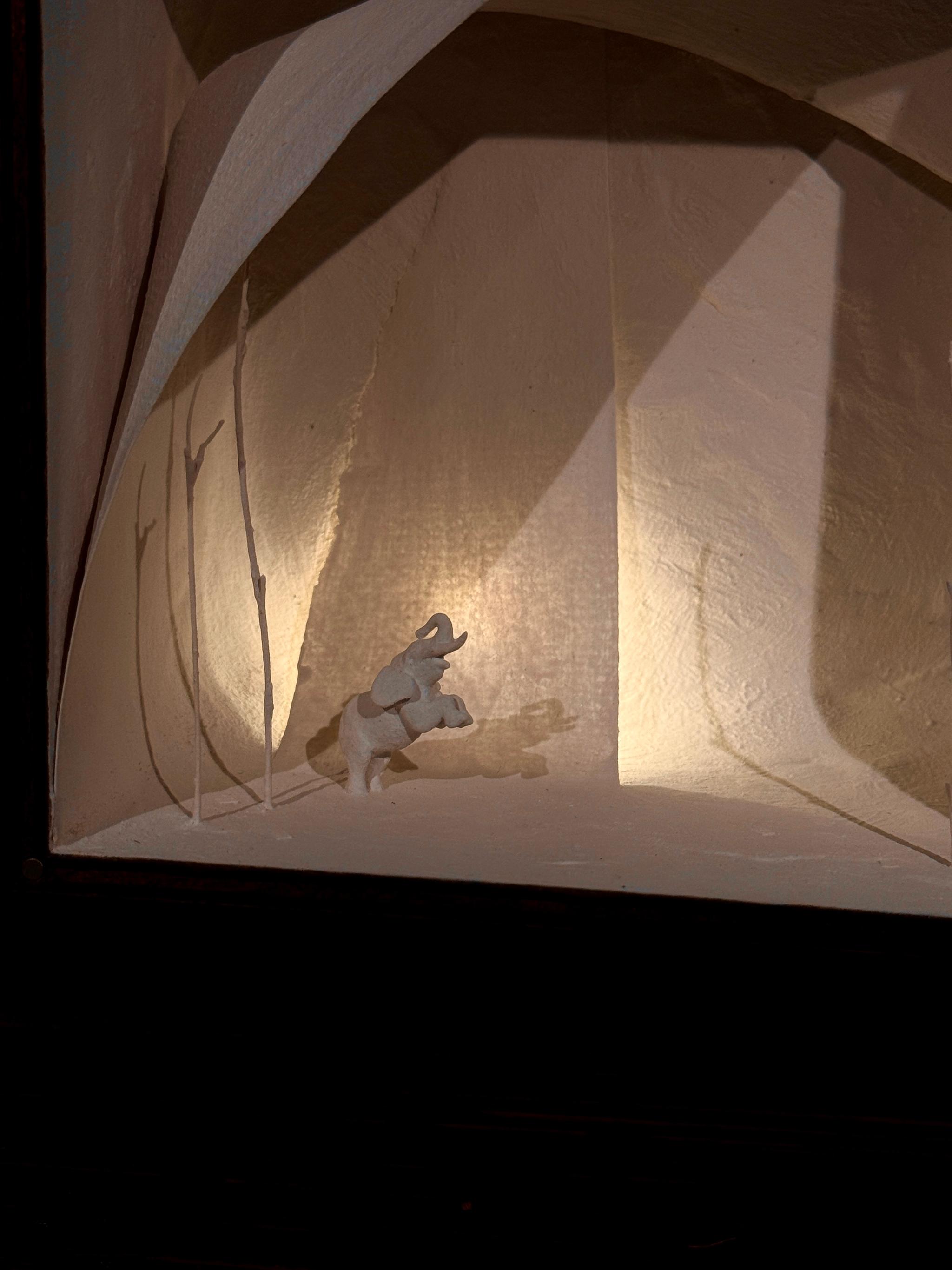 象と泳ぐ | 5枚目