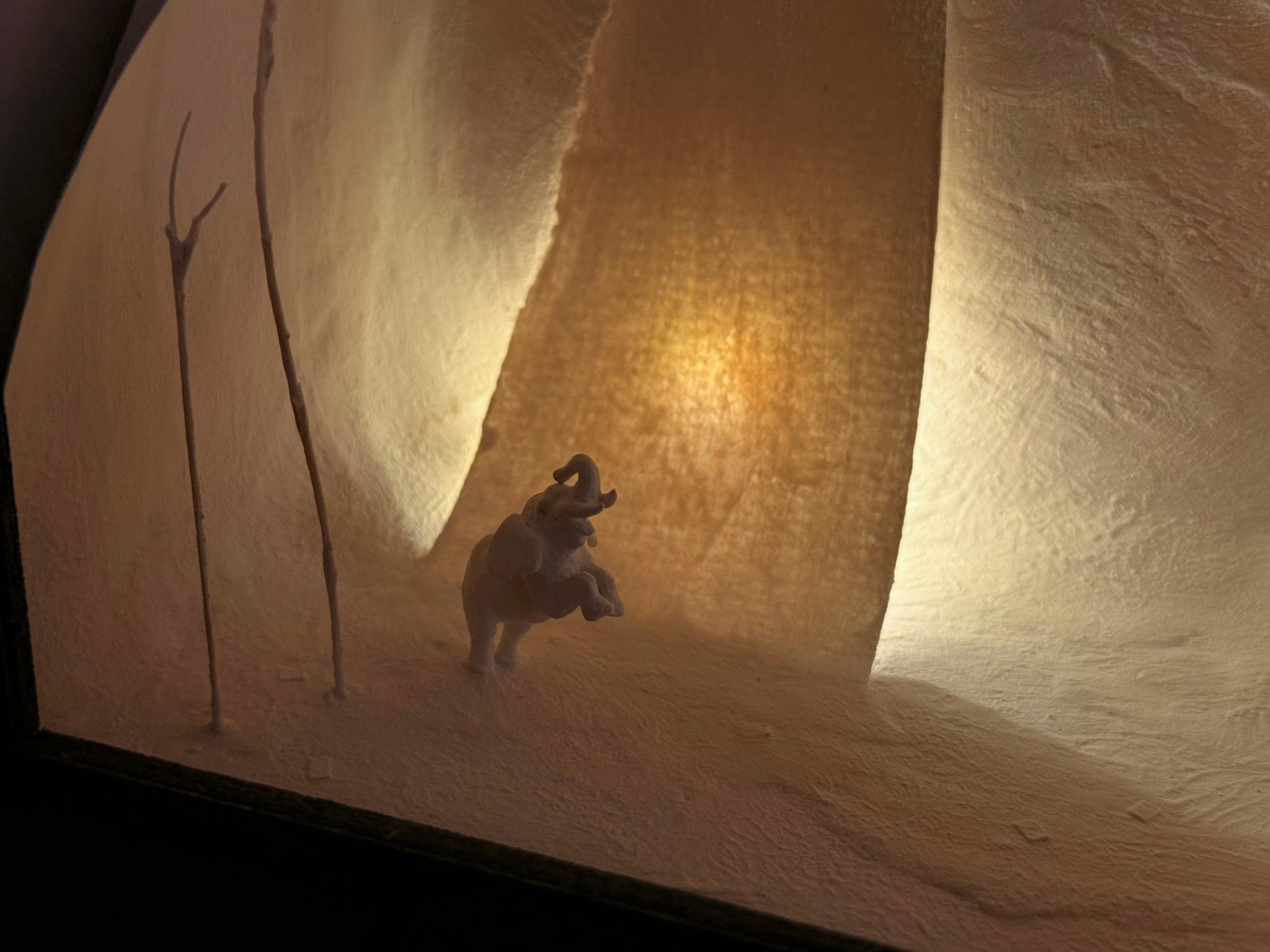 象と泳ぐ | 7枚目