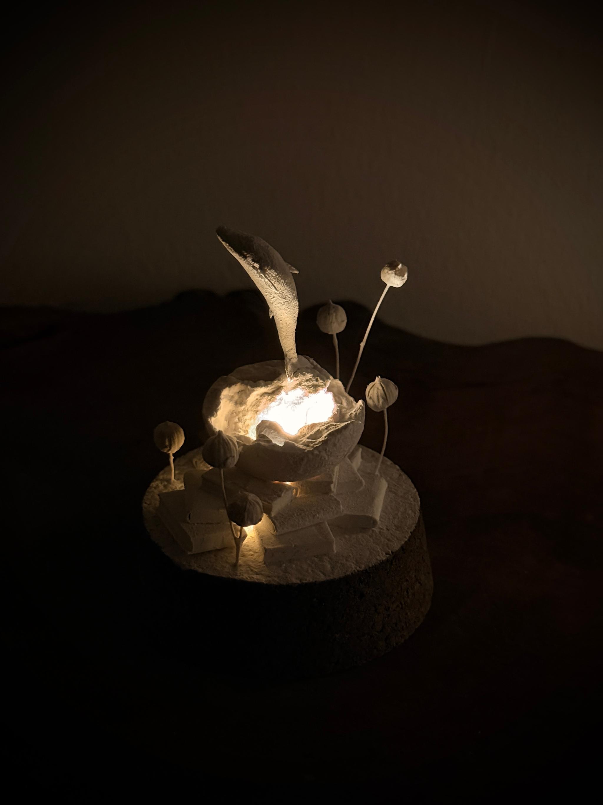 記憶の棲家　くじら