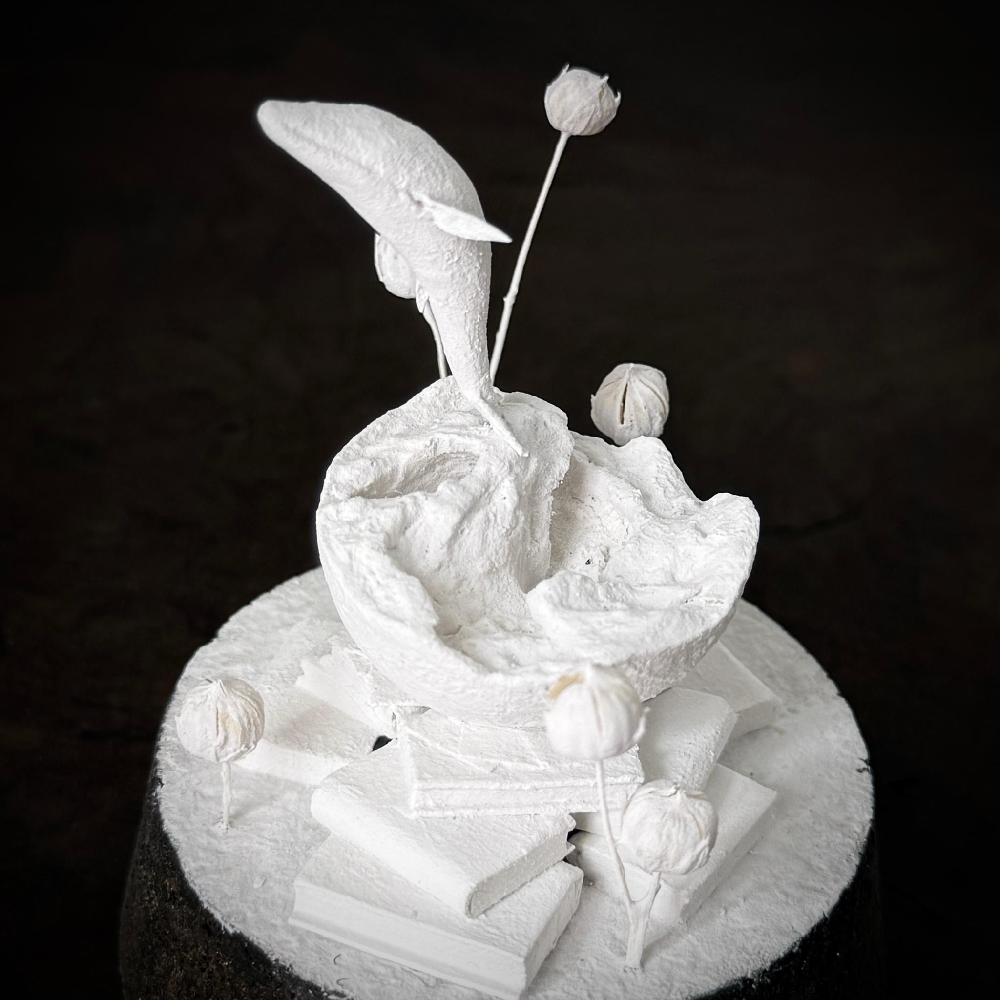 記憶の棲家　くじら | 2枚目