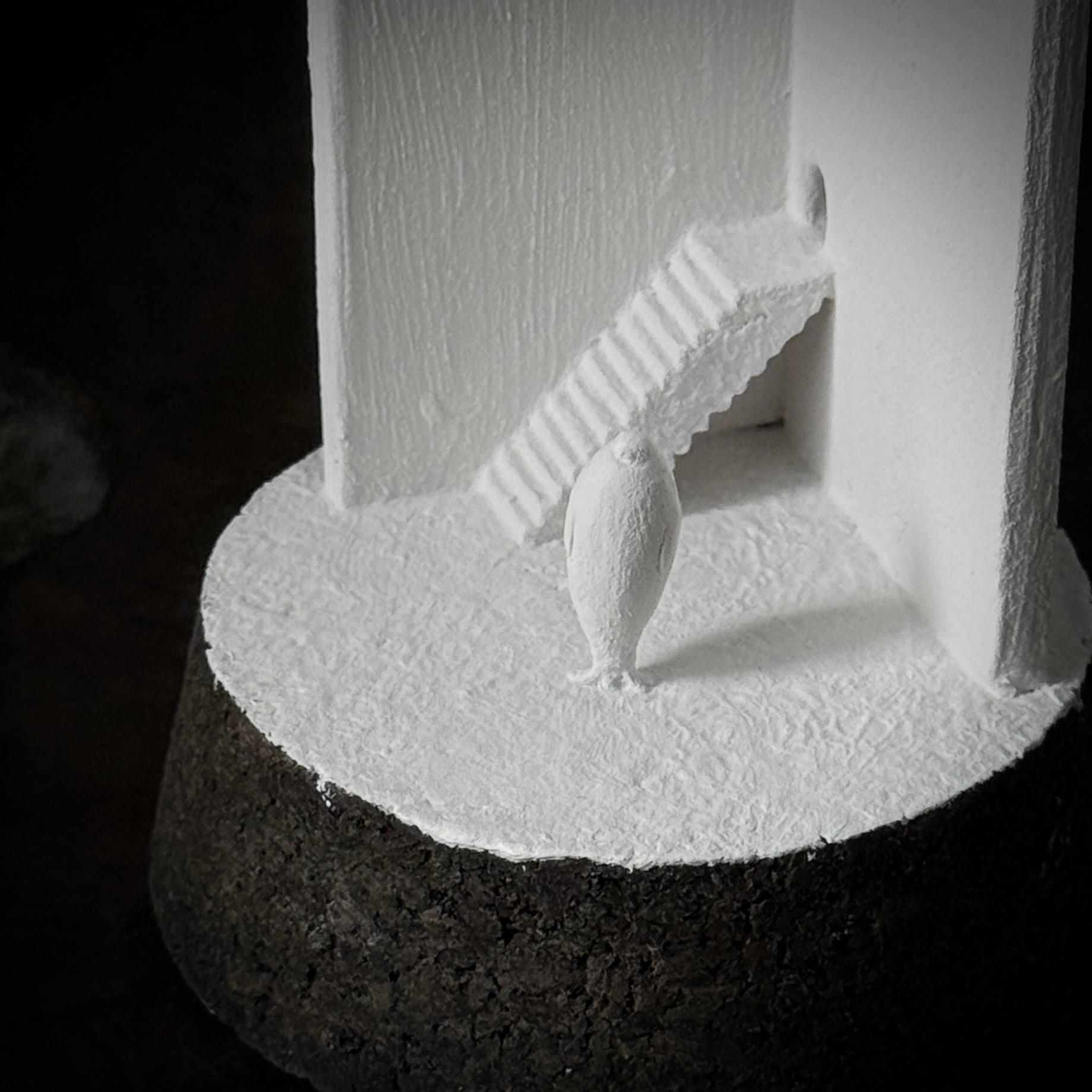 記憶の棲家　アザラシ