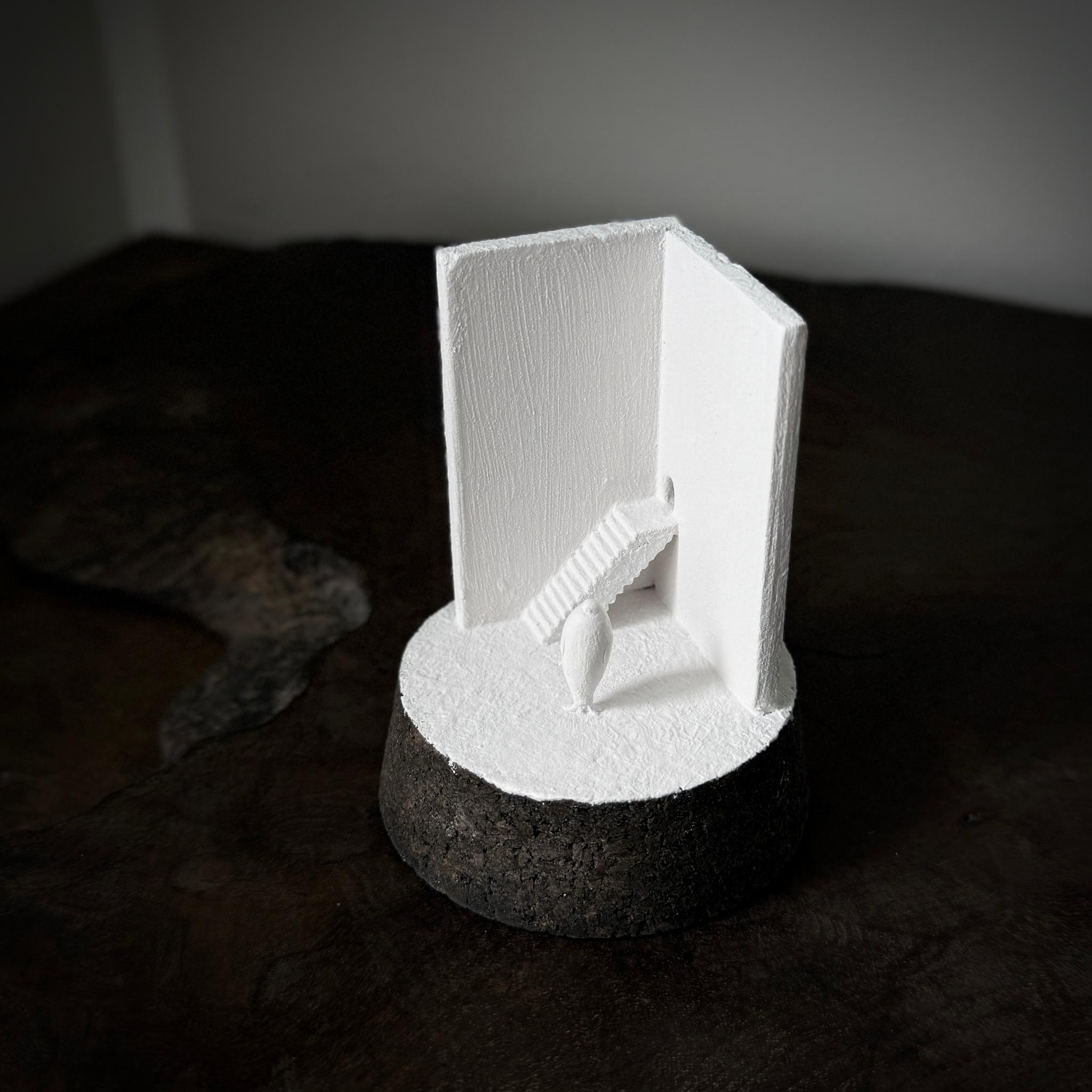 記憶の棲家　アザラシ | 3枚目