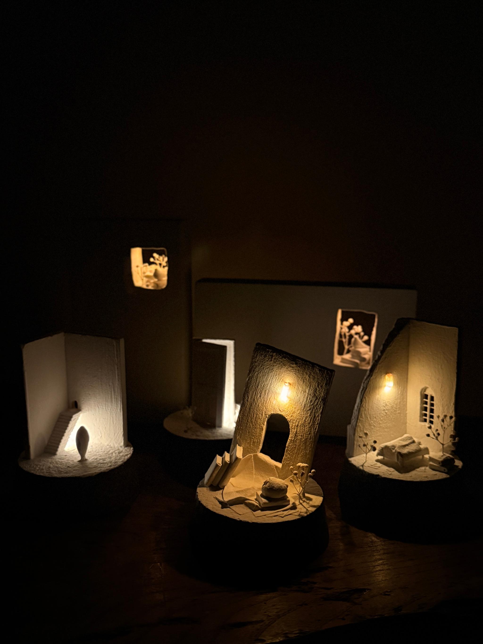 記憶の棲家　アザラシ | 5枚目