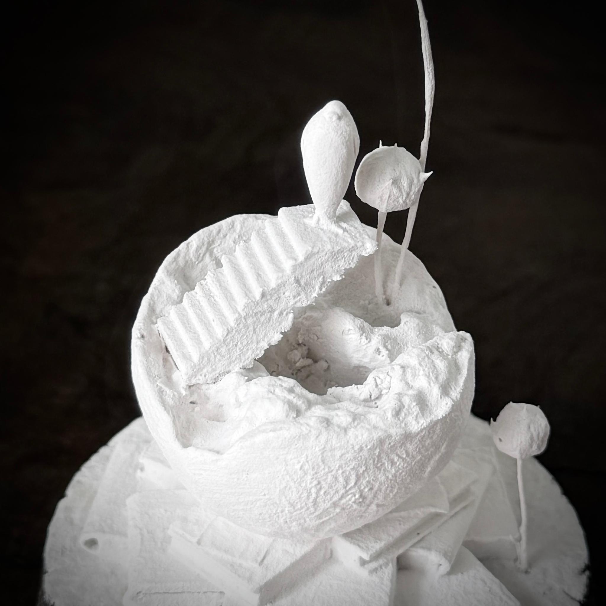 記憶の棲家　アザラシ　2