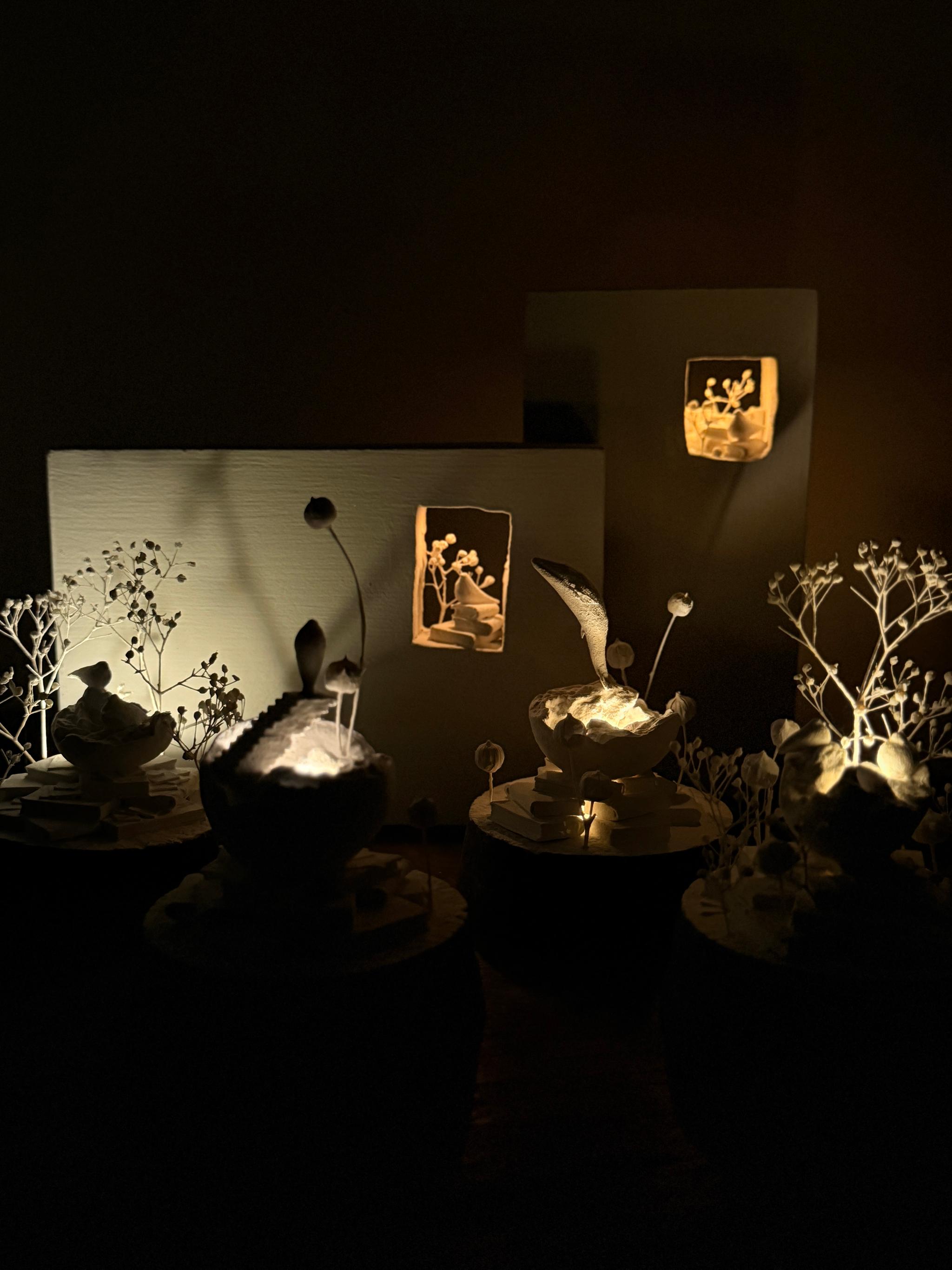 記憶の棲家　アザラシ　2 | 4枚目