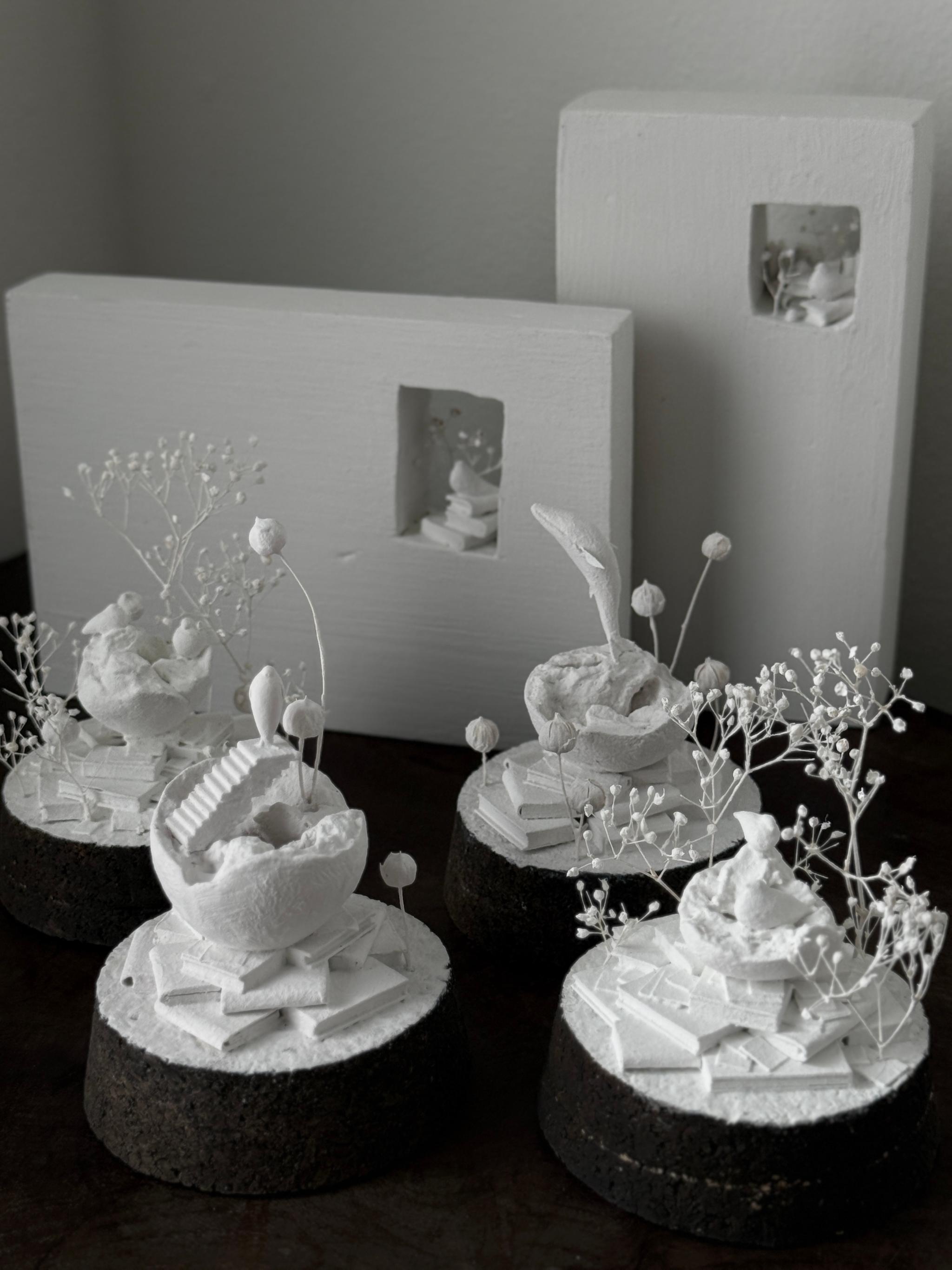 記憶の棲家　アザラシ　2 | 5枚目