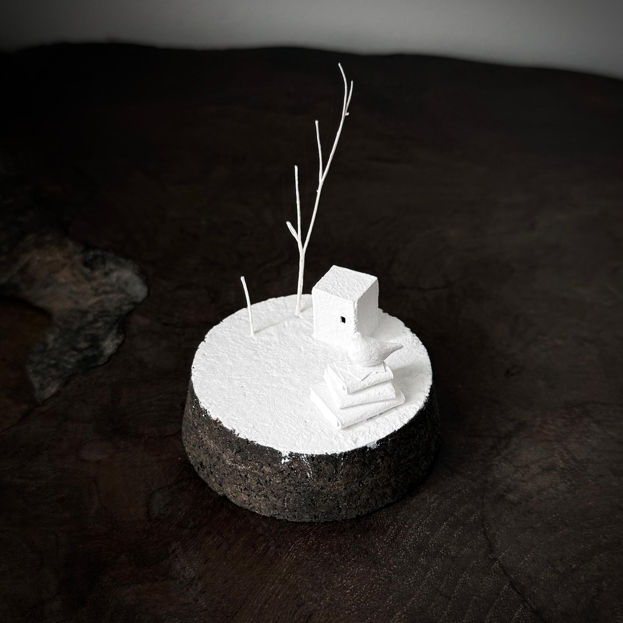 記憶の棲家　小鳥の庭 | 4枚目